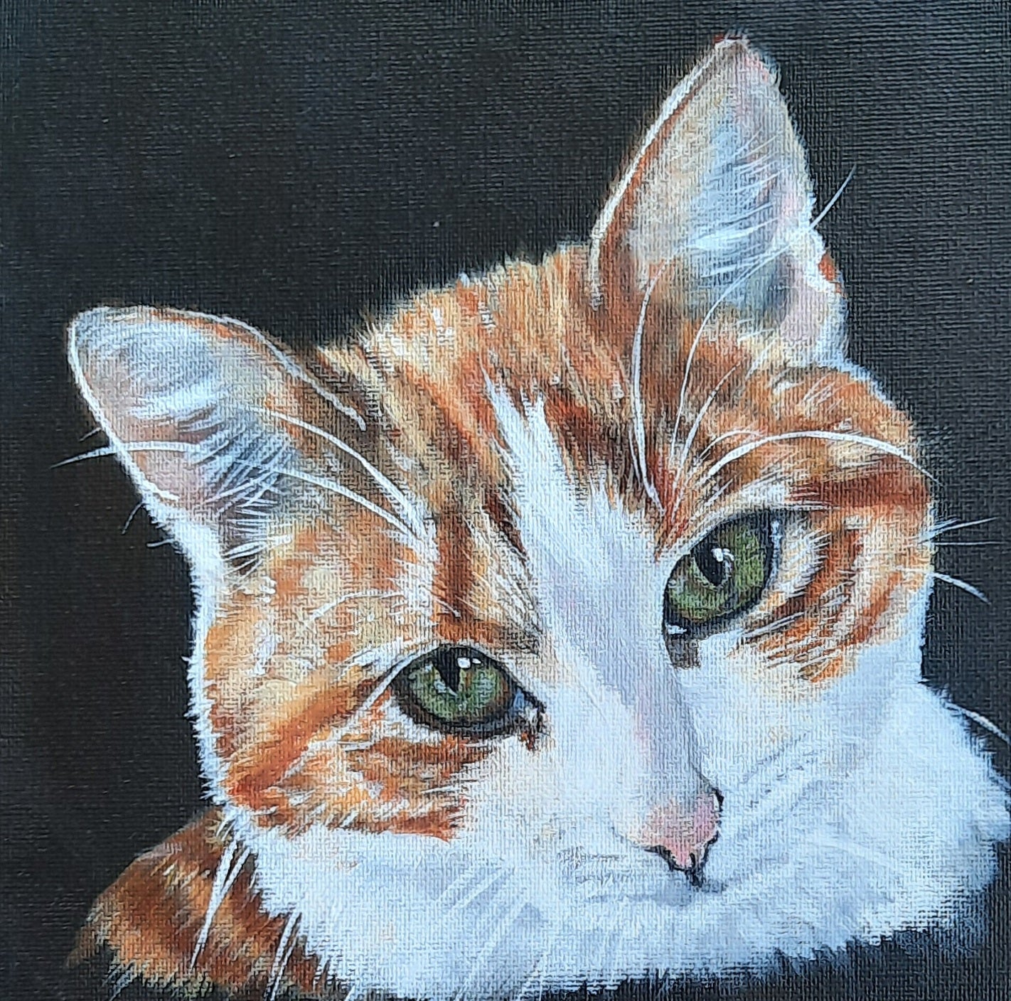 🐾 Dierenportret op maat – Een uniek kunstwerk van jouw geliefde dier